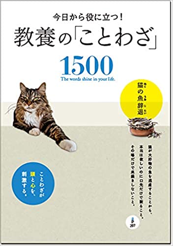 藤原寿子/6期ライター(制作協力)